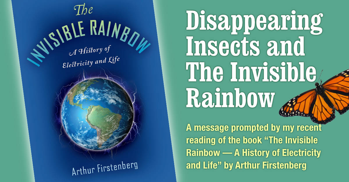 Disappearing Insects and The Invisible Rainbow